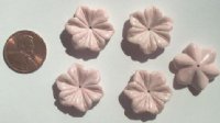 5 20x7mm Carved Howlite Light Pink Flowers